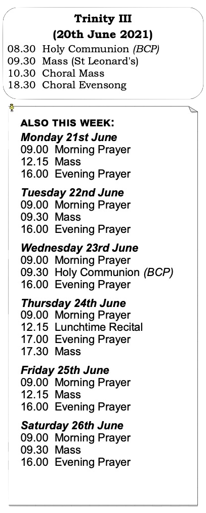 Trinity 3 Services 2021 Trinity 3 Services List